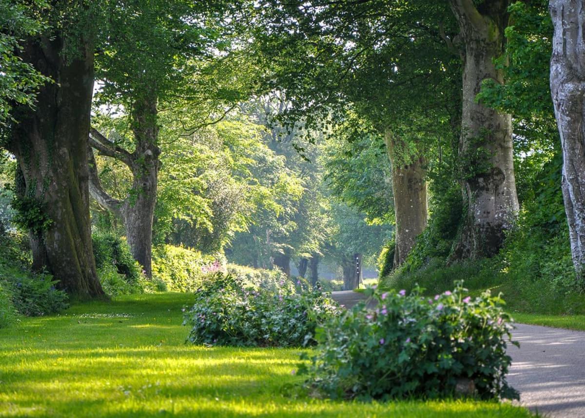 Woodovis Park Hotel Tavistock  Eksteriør billede